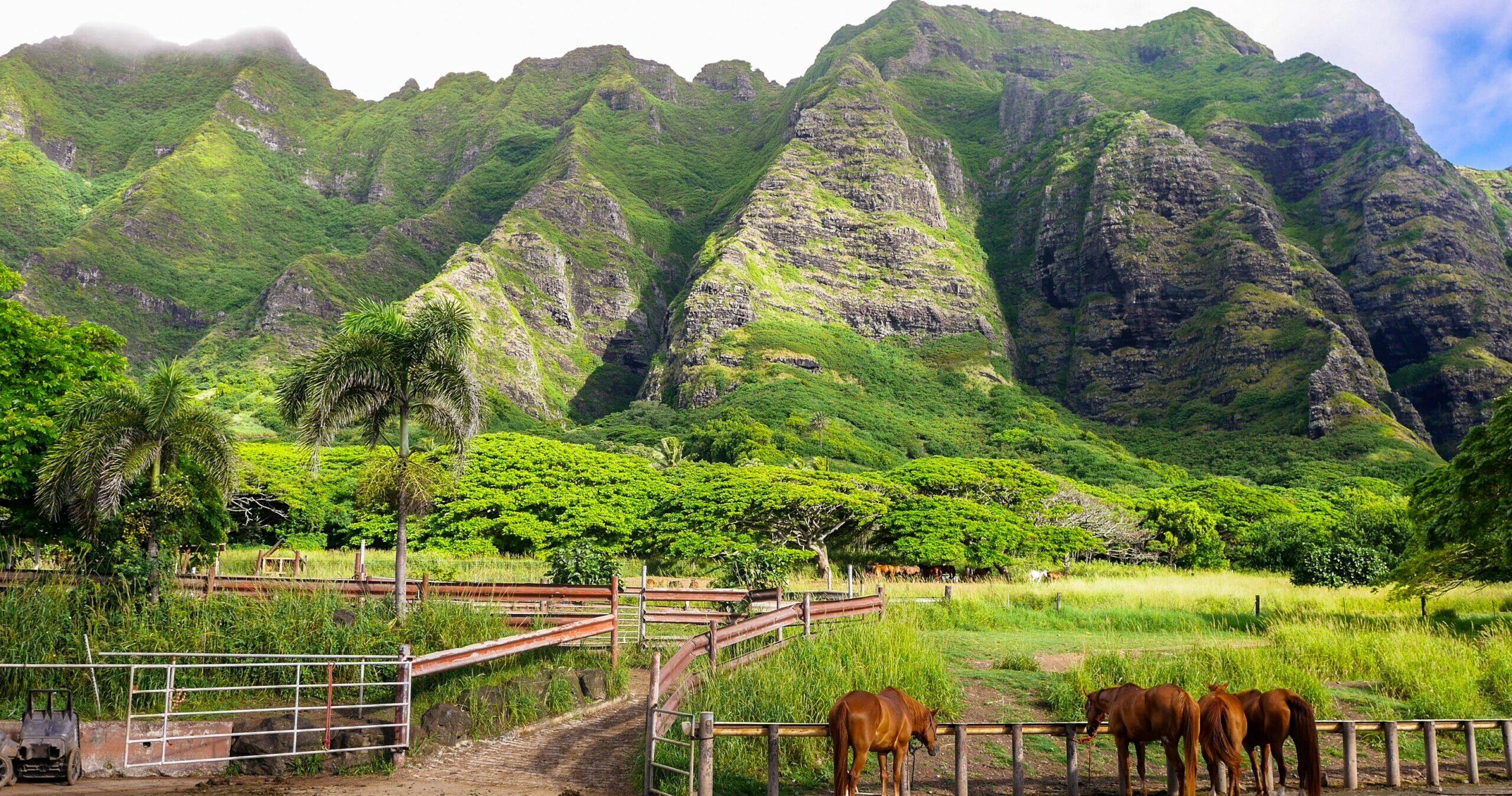 ハワイ・クアロア・ランチで乗馬を楽しもう